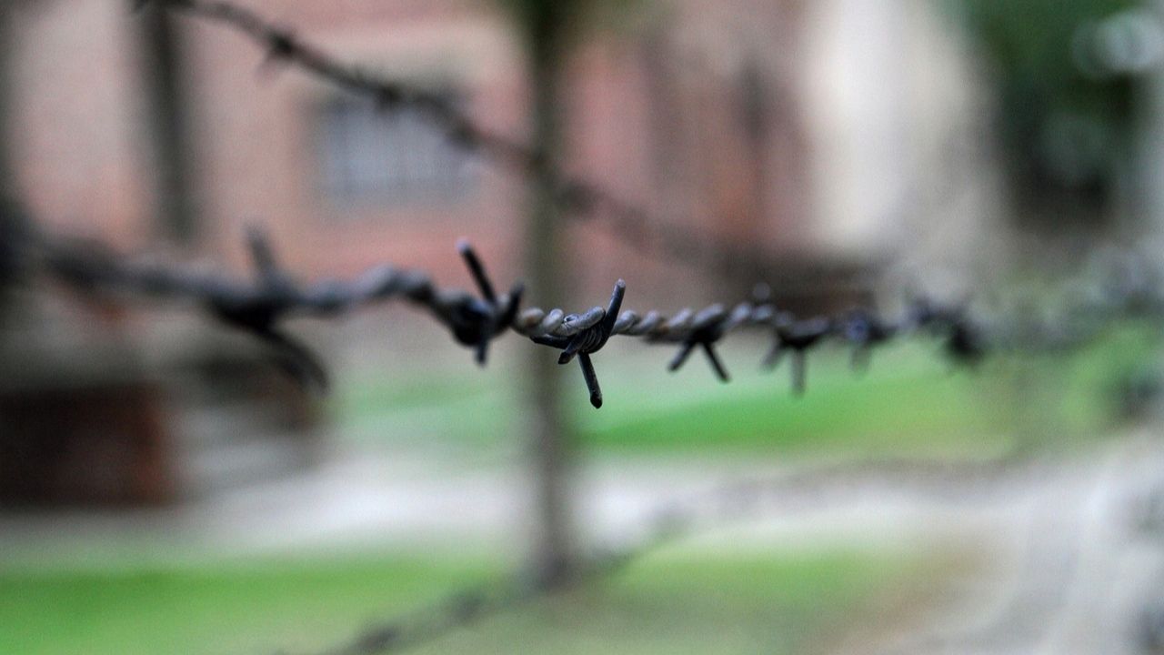 Auschwitz filo spinato